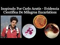 Inspirado Por Carlo Acutis - Evidencia Científica De Milagros Eucarísticos