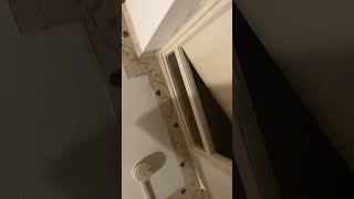 256   IMG E3408