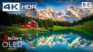 Information World's Best Animals & Stunning Nature | 4K Epic Dolby Vision HDR 120FPS (8K/16K Video TV) Guide