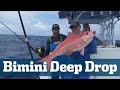 Bimini Deep Drop Seminar - Florida Sport Fishing TV - Queen Snapper Grouper
