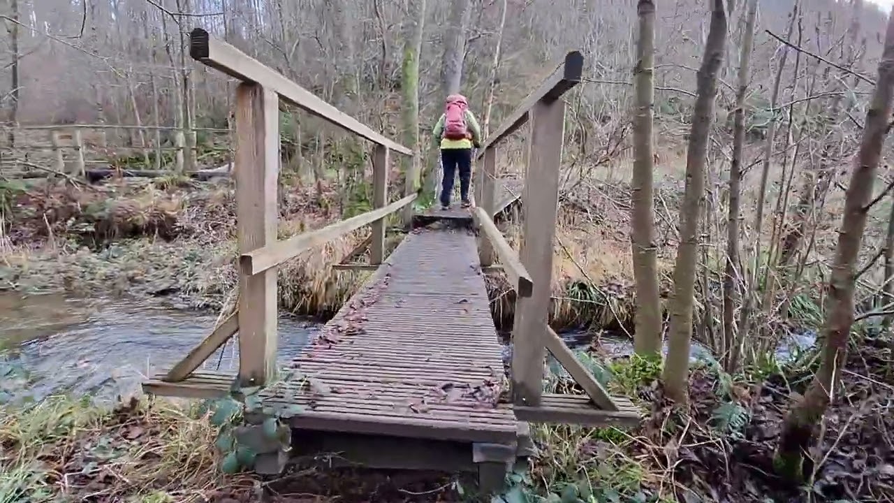 Der Wildnis Trail 02