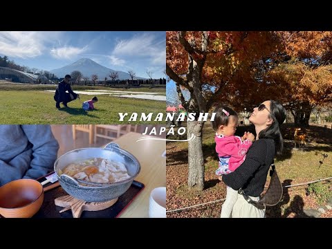 Vídeo: As melhores coisas para fazer na província de Yamanashi, Japão