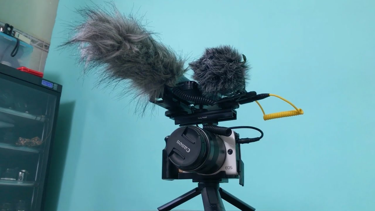 Must-Have Versatile Shotgun Mic in the New 2022 Year——7RYMS MinBo M1!