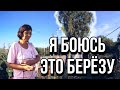 83 ГОДА // У ДЕДУШКИ ПРОКОПИЯ ПОТЕКЛА КРЫША //