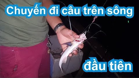 Lần đầu đi câu cá ngát bằng ghe trên sông Soài Rạp - Nhà Bè - QTNB - 037