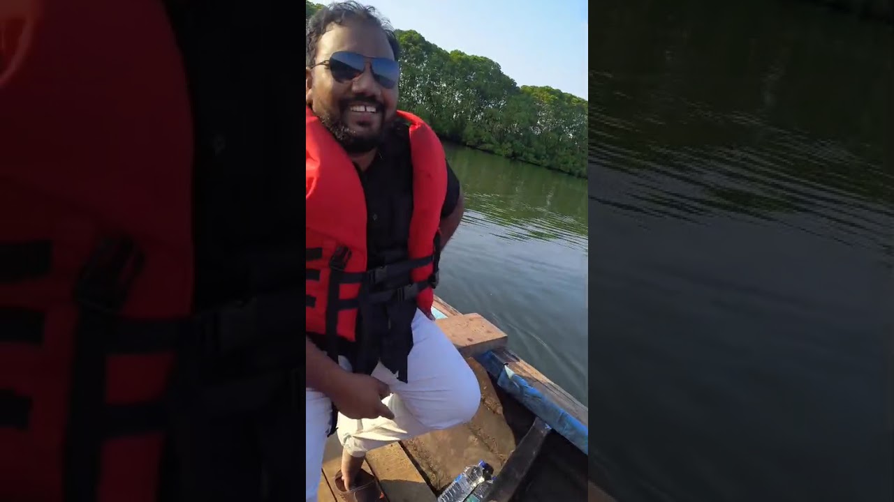 Mangrove forest part 3