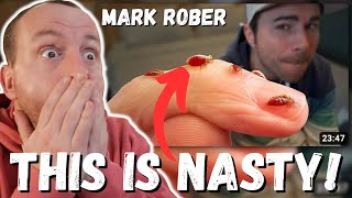 THIS IS NASTY! Mark Rober Bed Bugs- What You've Been Told is Totally False (FIRST REACTION!)