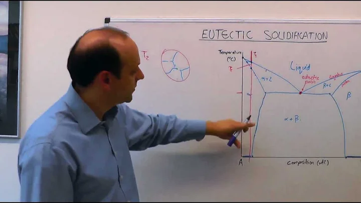 3.1 | MSE104 - Eutectic Solidification