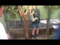 When Koalas get angry