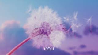 stillgrove - Subtle Gravity