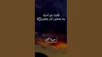 سورة النحل الآية ١٧ الى ٢٢ بصوت الشيخ ماهر المعيقلي #القرآن   #القران_الكريم_في_الصباح