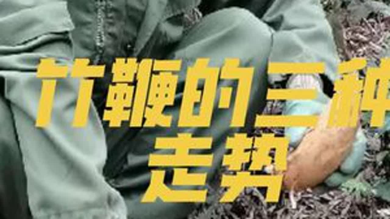 #抖出家乡山货 #抖出家乡山货