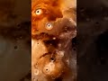 Io Is Jupiter’s Nightmare 🌋
