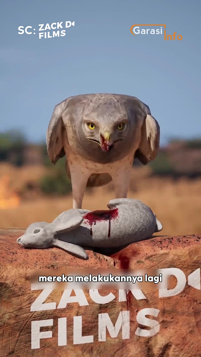 almost unbelievable to see birds in action in the wild
