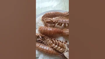 FRIED MANTIS SHRIMP #shorts #mantisshrimp