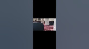 (وأوحينا إلى أم موسى أن أرضعيه) تلاوة عذبة من سورة القصص اللهم بارك