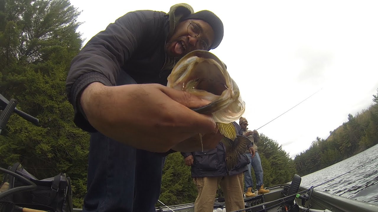 Catching Bass At An Unnamed Pond YouTube