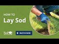 How to lay sod