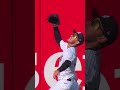 CODY BELLINGER WITH THE CIRCUS CATCH! #MLB #Yankees #CodyBellinger #Baseball