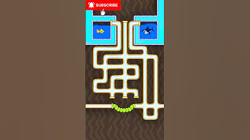 Save The Fish 🐠🐠🐠