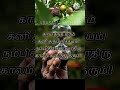 நம்பிக்கை வரிகள்|HOPEFUL LYRICS|CONFIDENCE QUOTE TAMIL WHATSAPP STATUS|MOTIVATIONAL WHATSAPP STATUS