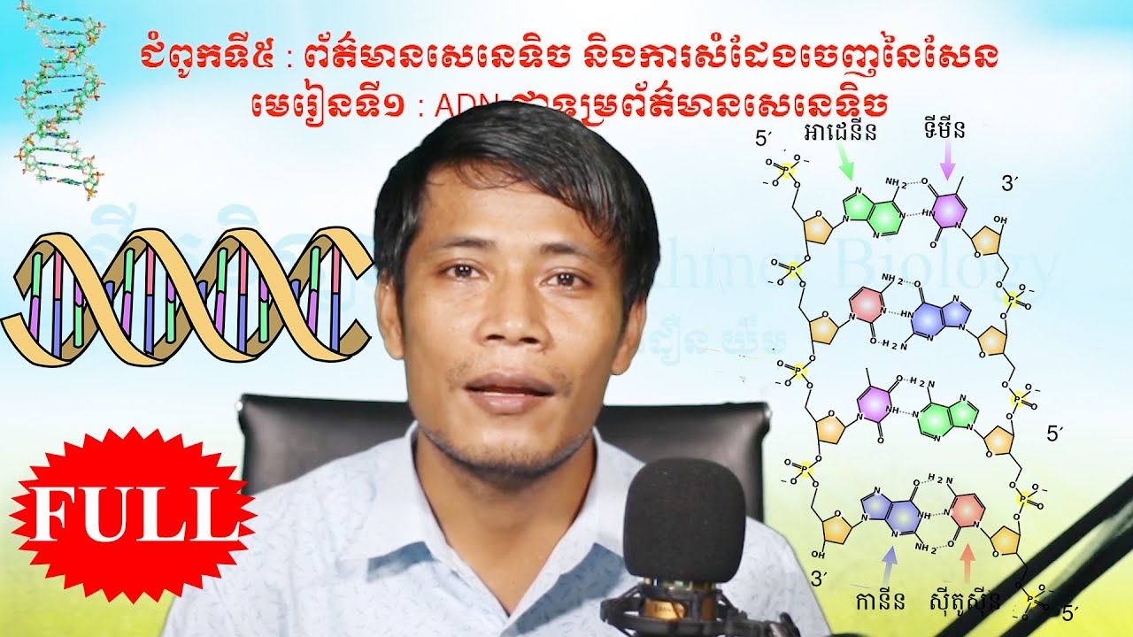 12 ADN 12 Khmer 12 adn 12 khmer