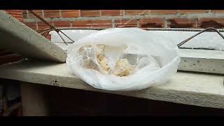 Ag Gesso Construindo Sua Primeira Obra