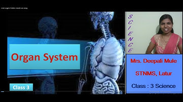 Class III |  Organs Present Inside Our Body | Part 1 | By Mrs. Deepali Mule