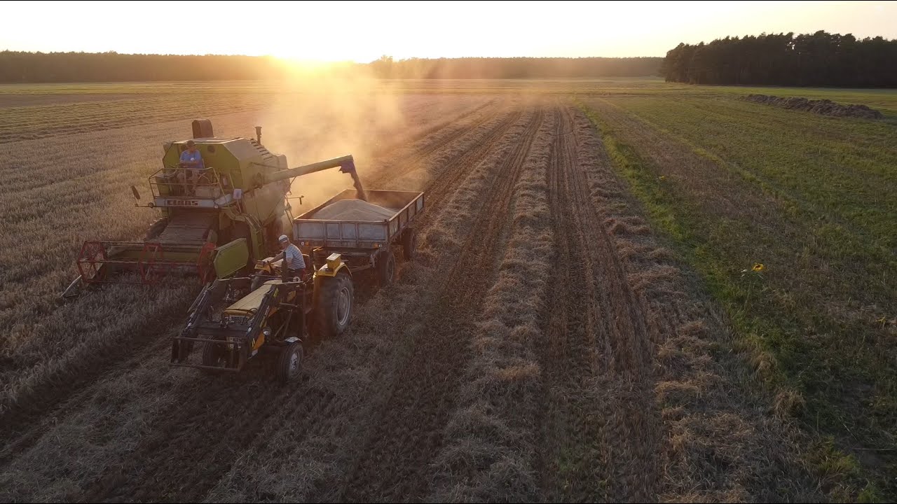 PODSUMOWANIE SEZONU 2025