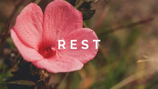 Relaxing Guitar Music for Stress Relief, Calm, Study, Work | 1 Hour