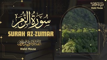 سورة الزمر تلاوة مؤثرة تخشع لها القلوب وتغمر الروح بالسكينة | Surah Az-Zumar Profound Spiritual Ec
