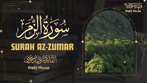 سورة الزمر تلاوة مؤثرة تخشع لها القلوب وتغمر الروح بالسكينة | Surah Az-Zumar Profound Spiritual Ec