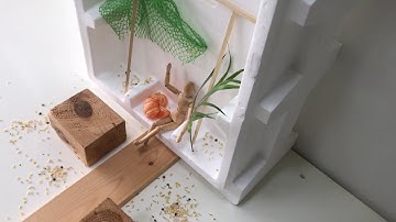 Spatial101x_2017_Week_2_extra2B_Models_in_Architecture-video