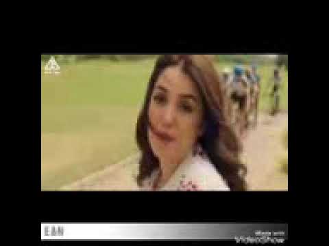 حماقى أدى إلى فى بالى كندا وعمرو