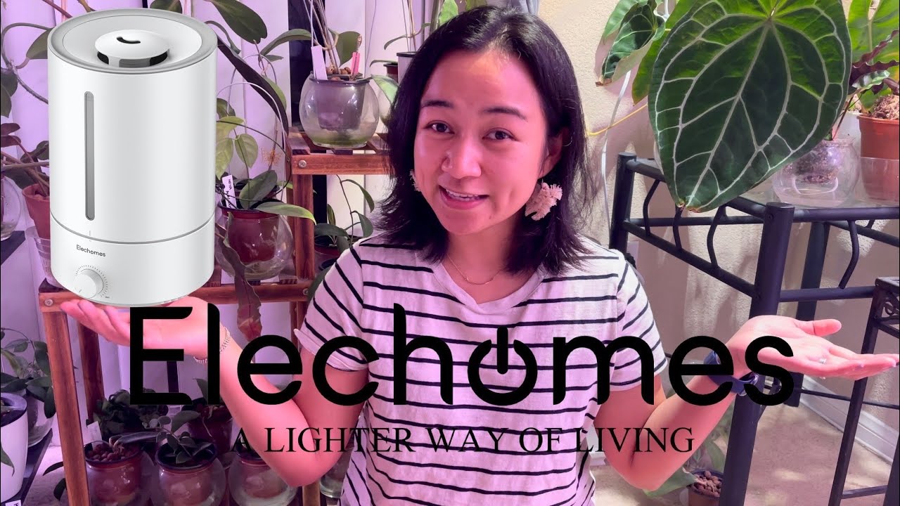 REVIEW ELECHOMES 5L Top Fill US5001 Humidifier YouTube