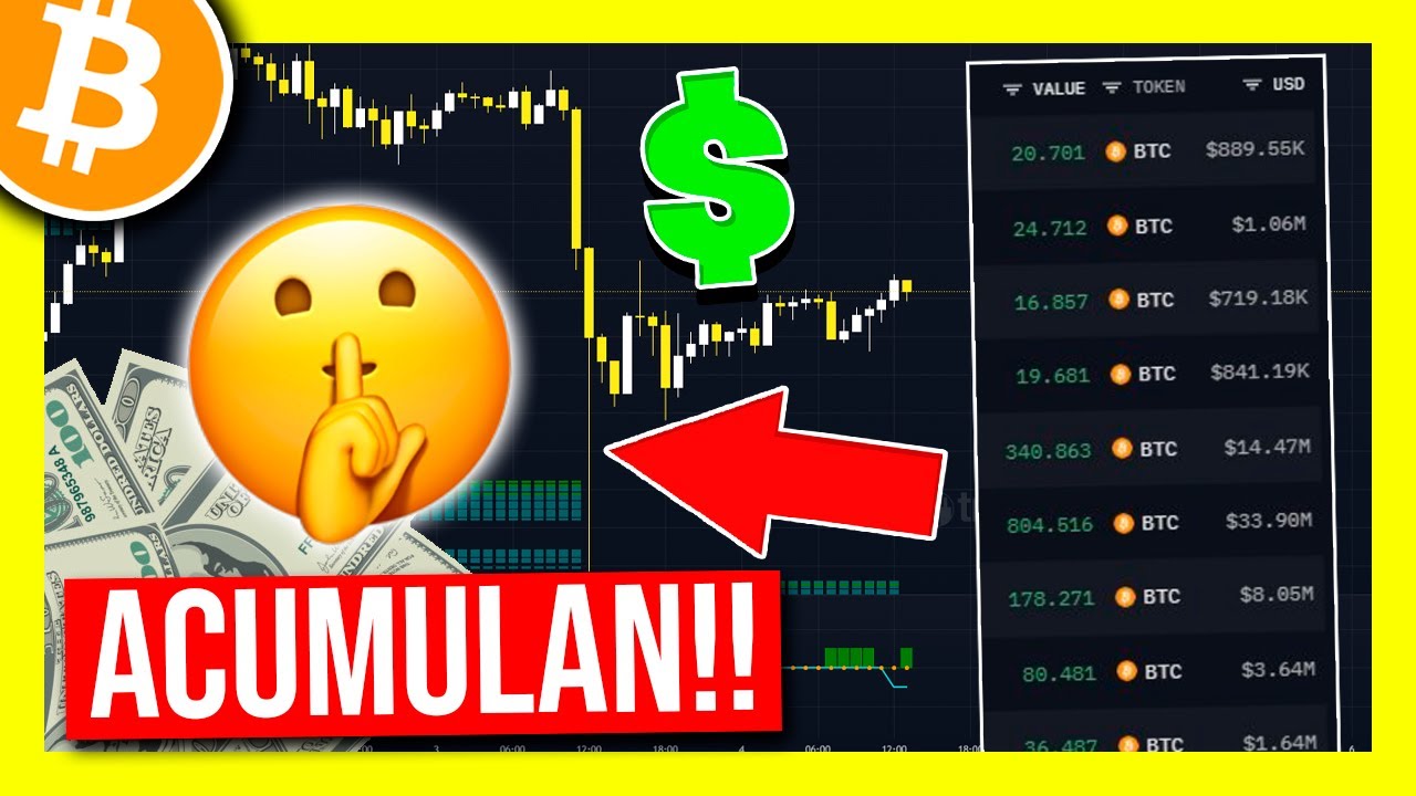😱 ¡BALLENAS de BITCOIN COMPRAN +8.000 BITCOINS en 48H! 🚨 ANÁLISIS de  BITCOIN HOY
