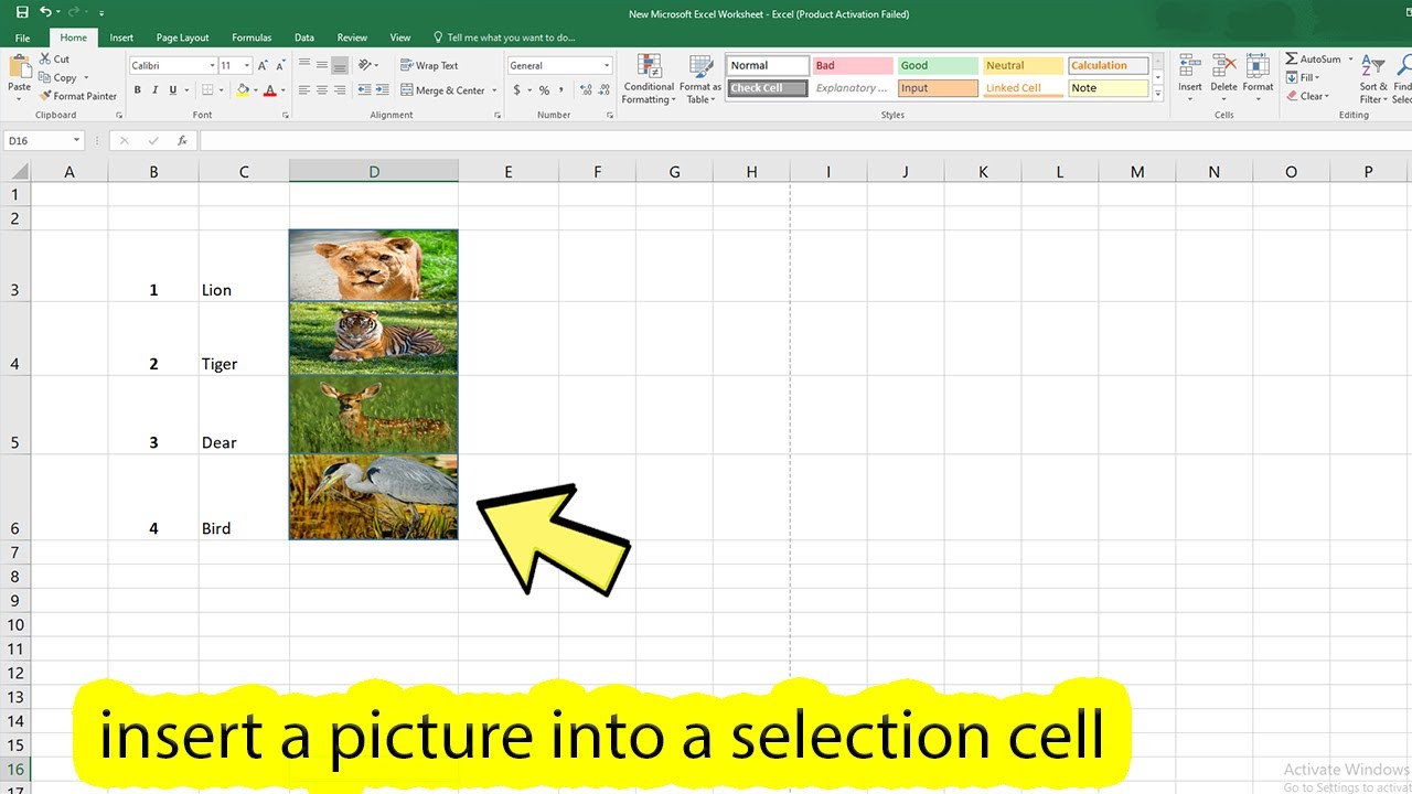 how-to-insert-image-in-excel-cell-youtube