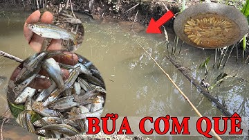 CÂU CÁ LÒNG TONG KHO KHÔ ĂN CƠM TẠI QUÊ NHÀ