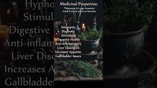 Herbal Profile Wormwood - Magical Properties And More