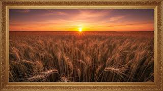 Golden Nature Field 🌾 Soft Relaxing Scene 180 Min screenshot 5