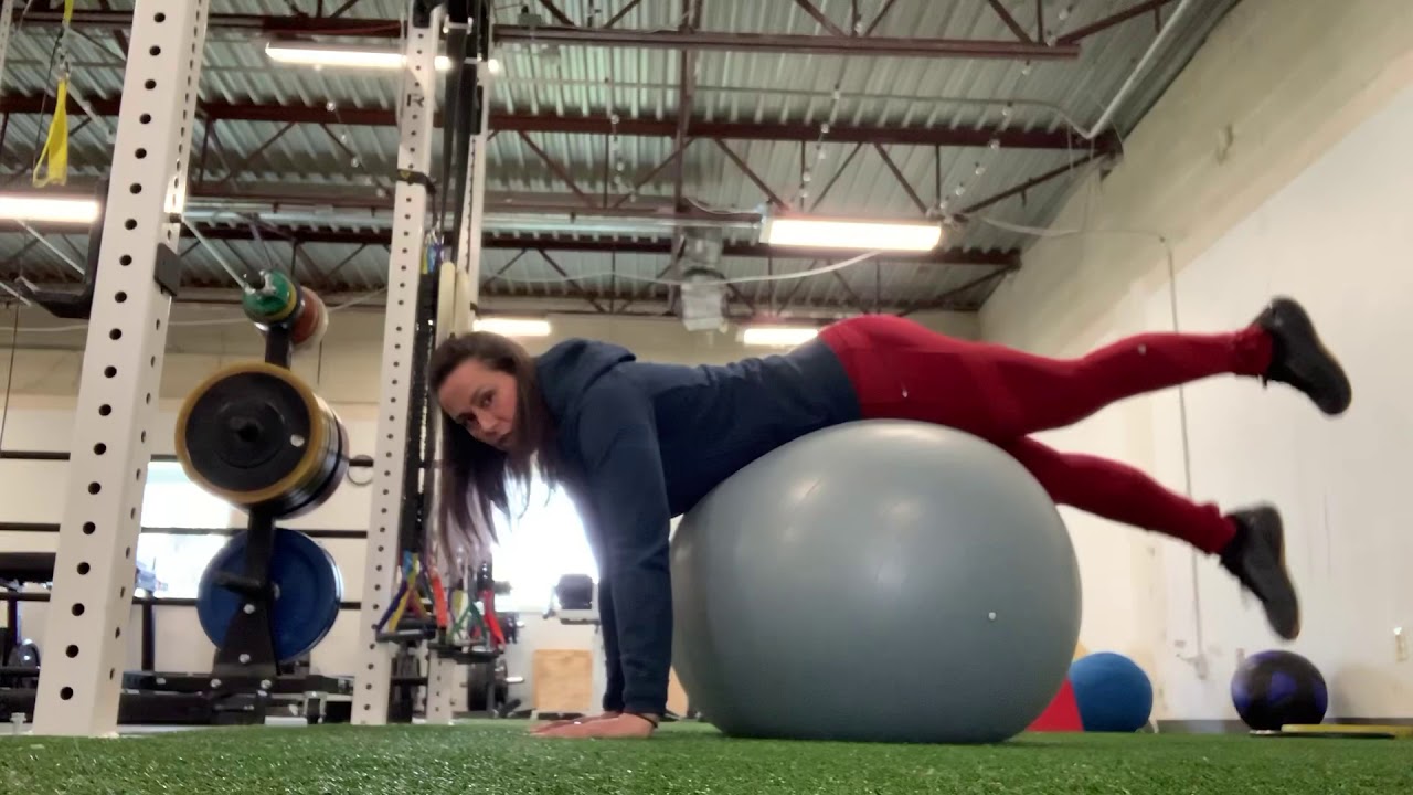 Reverse Hypers on Swiss Ball YouTube