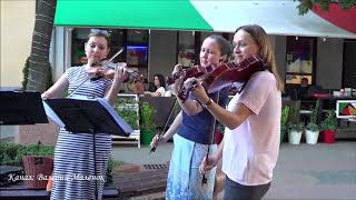 ПОЛОНЕЗ ОГИНСКОГО! На скрипках, от профессионалов! Street! Music! ПОЛОНЕЗ ОГИНСКОГО! На скрипках, от профессионалов! Street! Music!