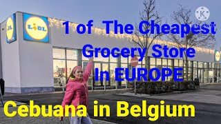 Lidl Store Belgium Affordable Grocery Store In Europe Filipina Youtuber In Belgium