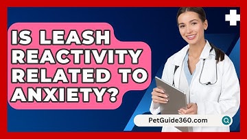Is Leash Reactivity Related To Anxiety? - PetGuide360.com