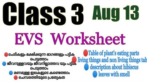 Class 3 Evs worksheet August 13|3 class പൂത്തും തളിർത്തും| blooming and sprouting| victers 3 class