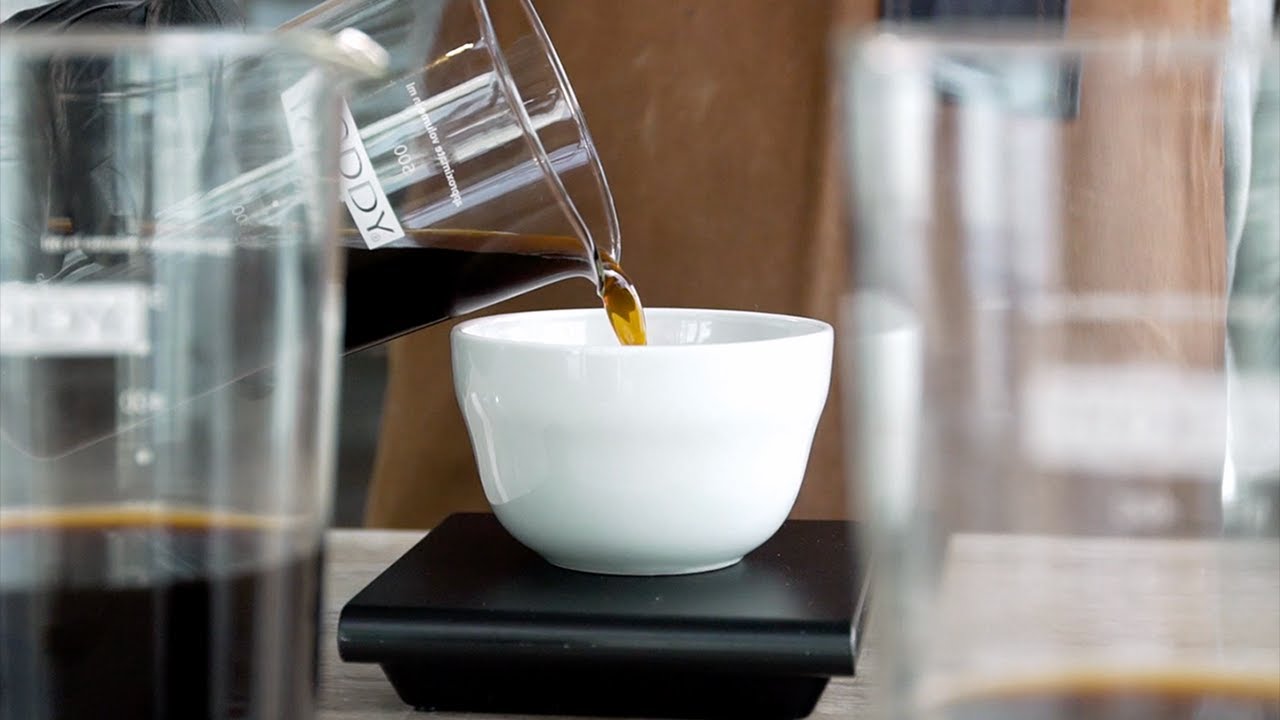 Toddy® Cold Brew Cupping Kit 4 YouTube Video