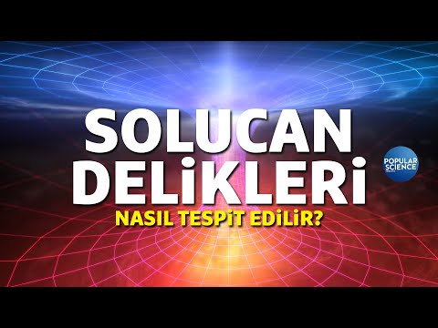 Solucan Delikleri Nasıl Tespit Edilebilir? | Popular Science Türkiye
