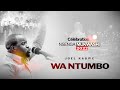 Capture de la vidéo Joel Kabwe - Wa Ntumbo (Celebration 2022)
