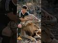 The man is trying to remove the python from the lion #lion #python #wildliferescue