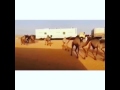 ما عصمنا الروس